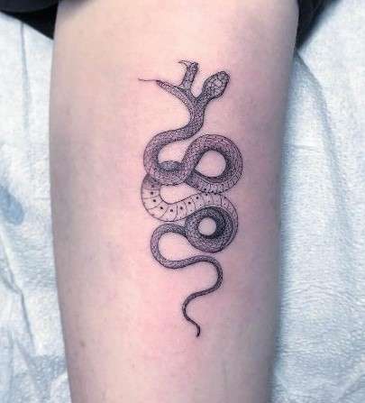 2 headed snake tattoo design