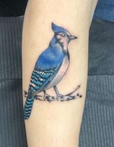 Bluejay Tattoo Meaning