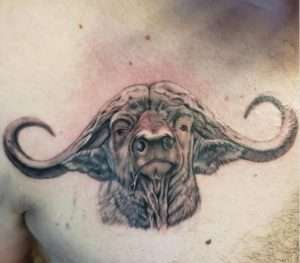 Buffalo Tattoo Meaning