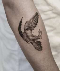Falcon Tattoo Meaning