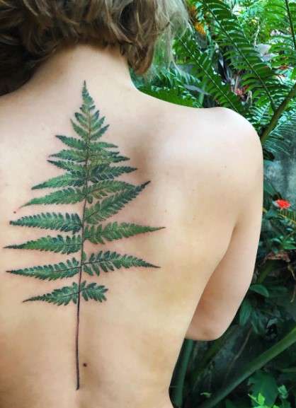 Fern Tattoo Design