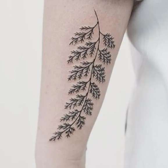 simple Fern Tattoo Design