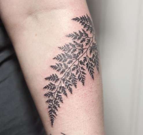 Fern Tattoo Design