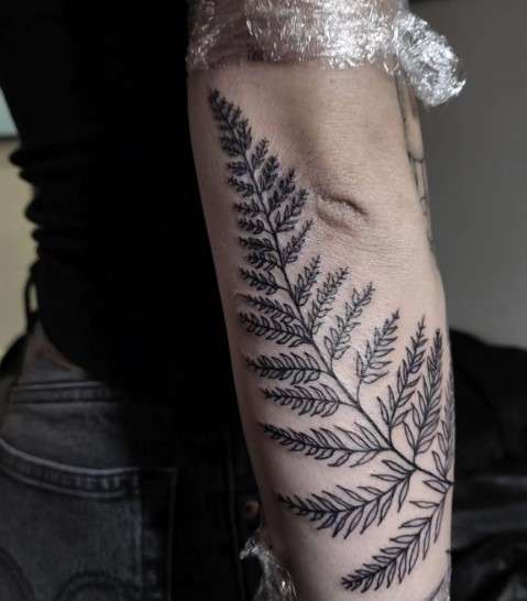 Fern Tattoo Design on back hand