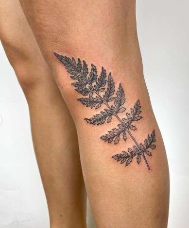 Fern Tattoo Design on leg