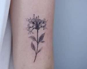 Honeysuckle Tattoo Meaning