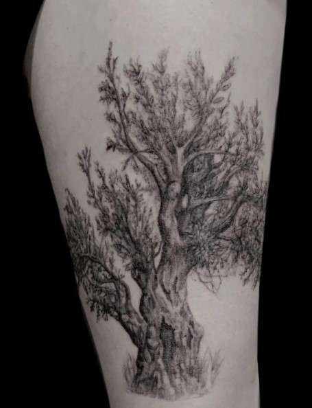 Olive tattoo tree design