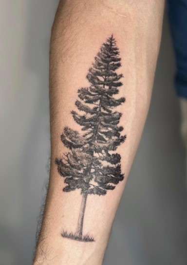 Pine Tree Tattoo Meaning: Symbolism Behind the Forest's Icon - InkCites