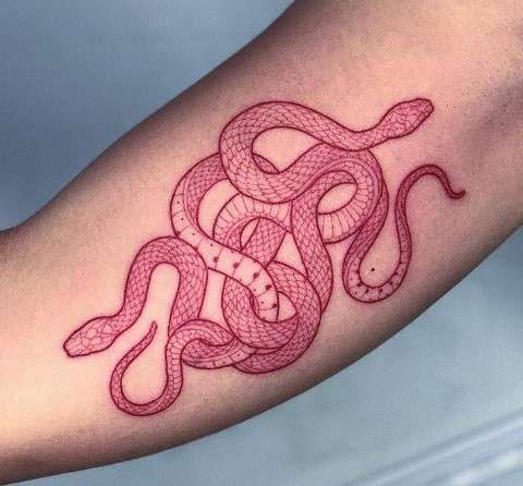 Red snake tattoo design