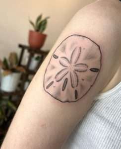 Sand Dollar Tattoo Meaning