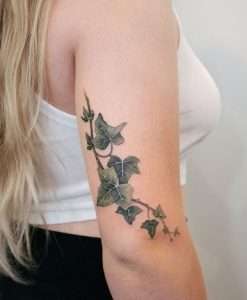 Symbolism Behind Ivy Tattoos