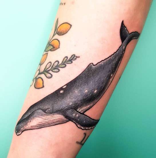 Whale Tattoo Meaning Mystifying Symbolism InkCites