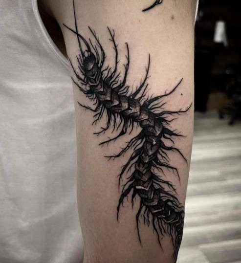 centipede tattoo design