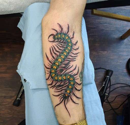 centipede tattoo design