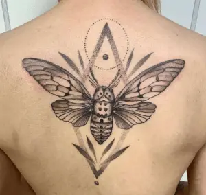 cicada tattoo