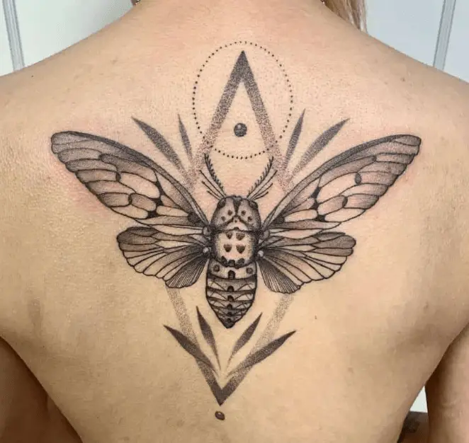 cicada tattoo