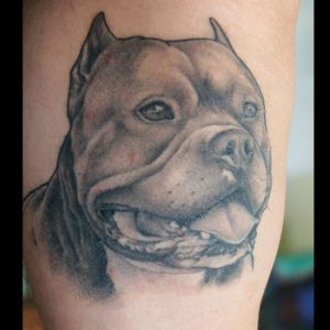 Pitbull Tattoos Meaning