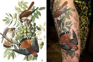 Quail Tattoo Meaning