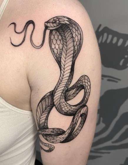 Snake tattoo Design