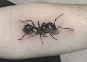 Ant Tattoo Meaning
