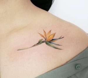 Bird of Paradise Tattoo Meaning