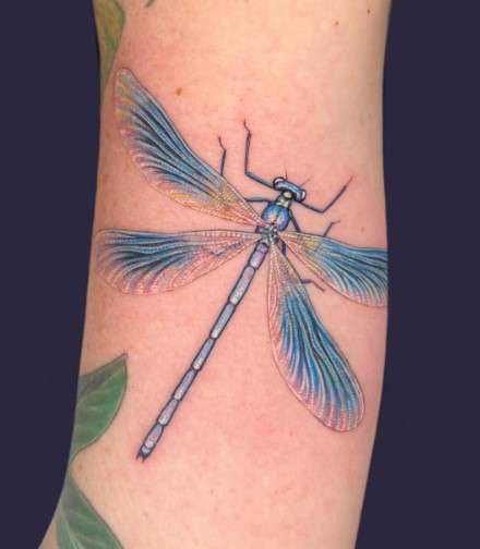 Blue Dragonfly Tattoo Meaning