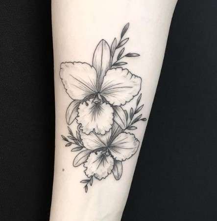 Cattleya Tattoo Meaning