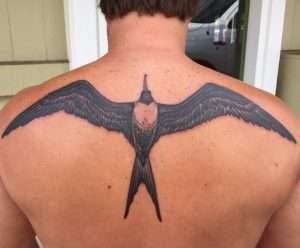 Frigate Bird Tattoo Meaning
