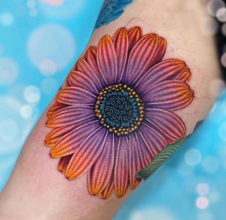 Gerbera Daisy Tattoo Meaning