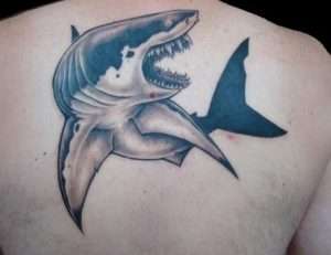 Great White Shark Tattoo Meaning