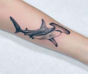 Hammerhead Shark Tattoo Meaning