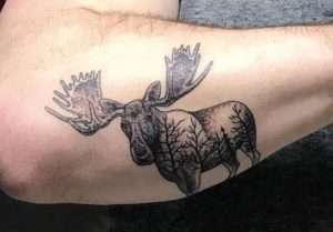 Moose Tattoo Meaning