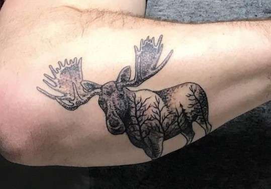 Moose Tattoo Meaning