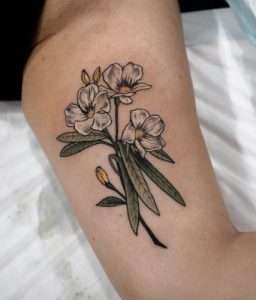 Oleander Tattoo Meaning