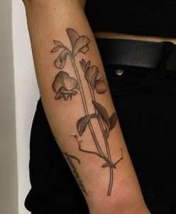 Sweet Pea Flower Tattoo Meaning