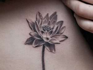 Water Lilies Meaning Tattoos