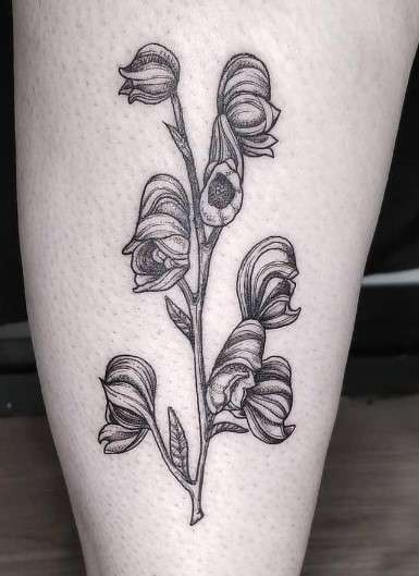 Wolfsbane Tattoo Meaning