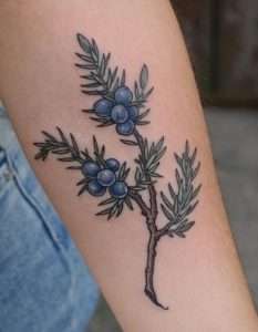 Juniper Tattoo Meaning