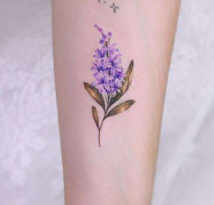 Purple Hyacinth tattoo meaning