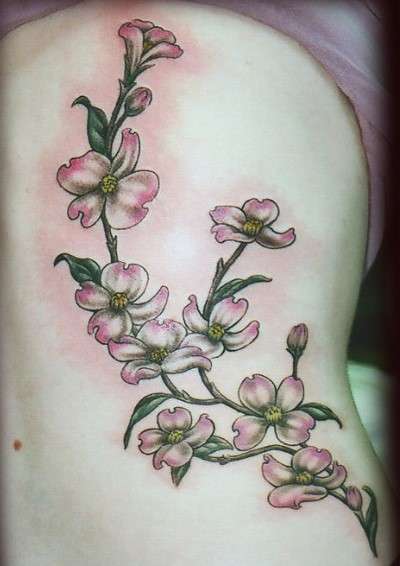 Dogwood Flower Tattoo on belly