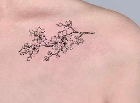 Dogwood Flower Tattoo sketch