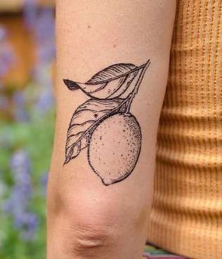 lemon tattoo sketch design