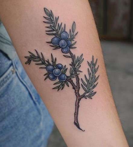 juniper tattoo on arm