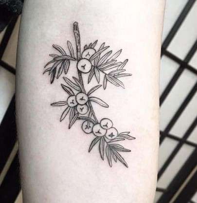 juniper tattoo black white