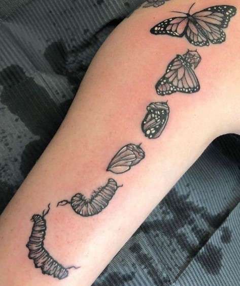 Metamorphosis caterpillar to butterfly tattoo