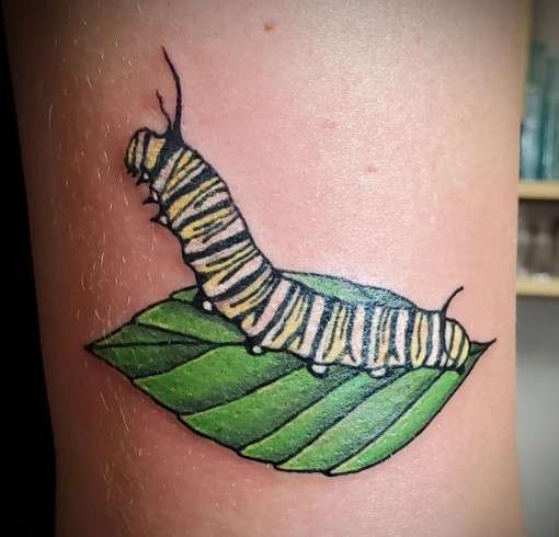 Monarch caterpillar tattoo
