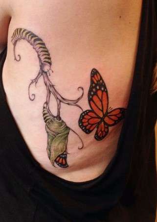 Monarch Caterpillar cocoon butterfly tattoo