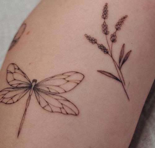 Whimsical dragonfly tattoo line
