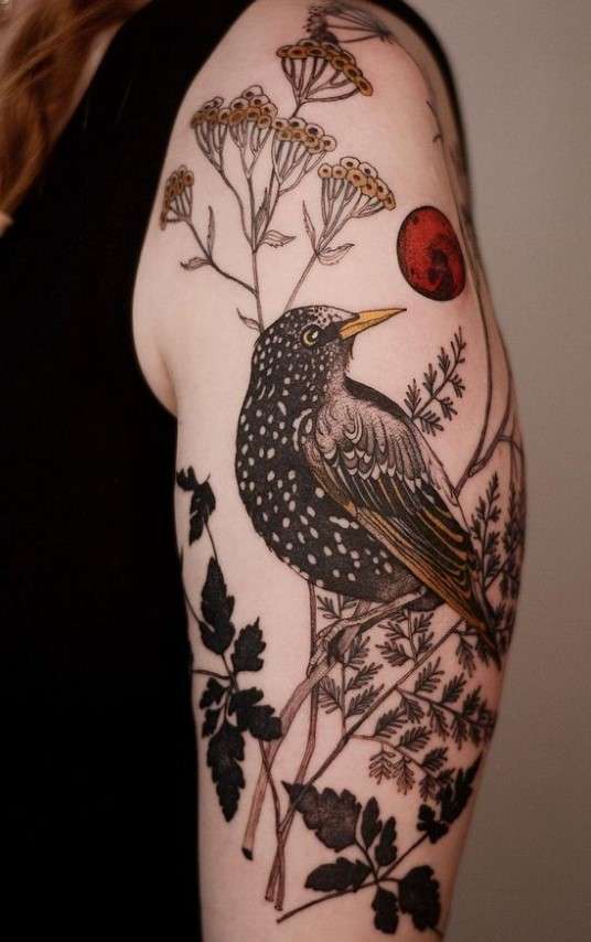Whimsical bird tattoo surrealistic